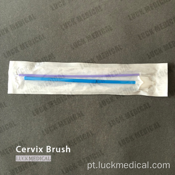 Pincel cervical cytobrush pap smaar